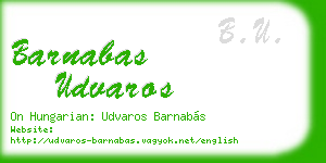 barnabas udvaros business card
