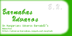 barnabas udvaros business card